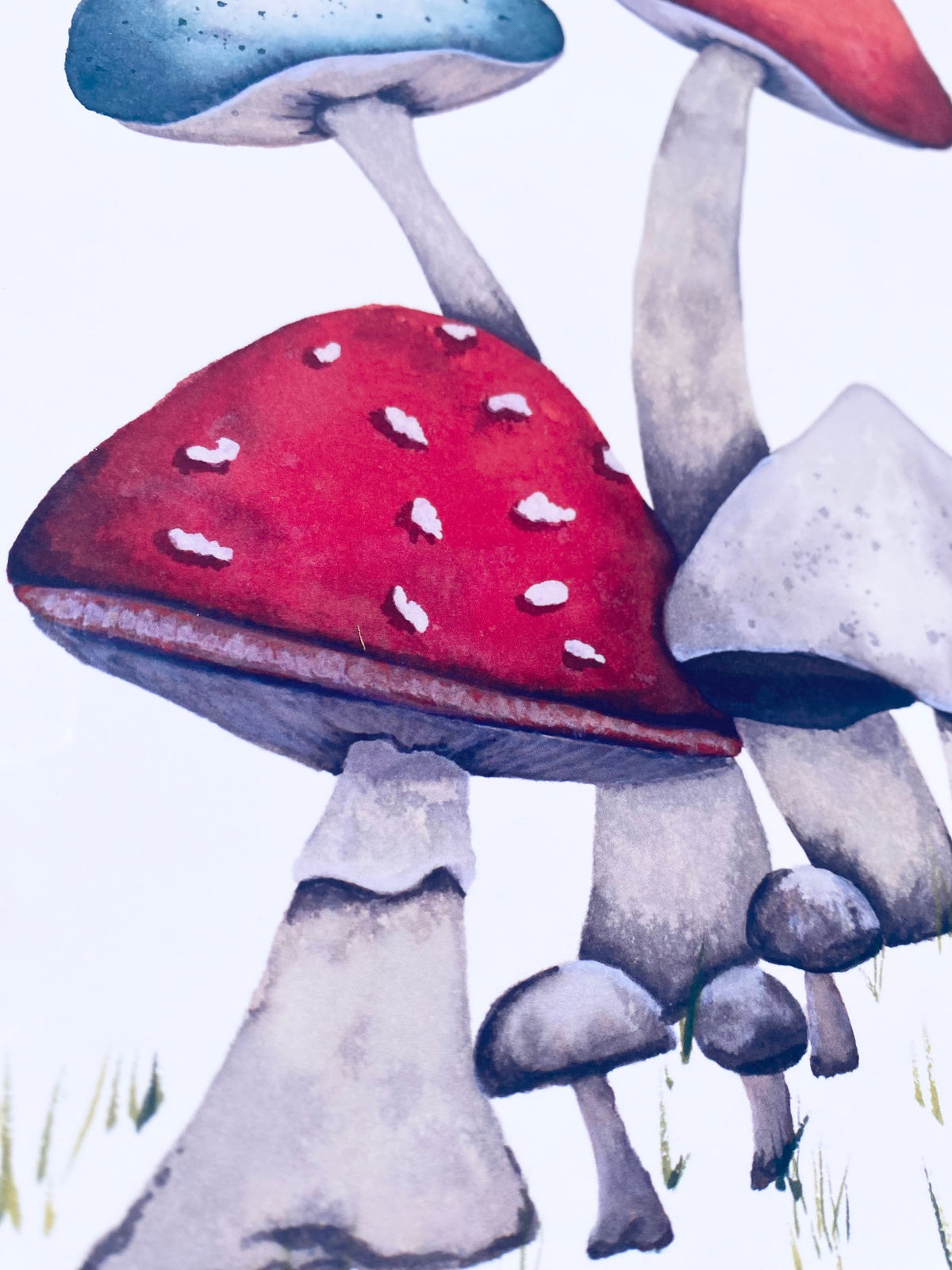 Cottage Core Mushroom Art Print