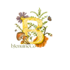 bJenuineCo  - Home