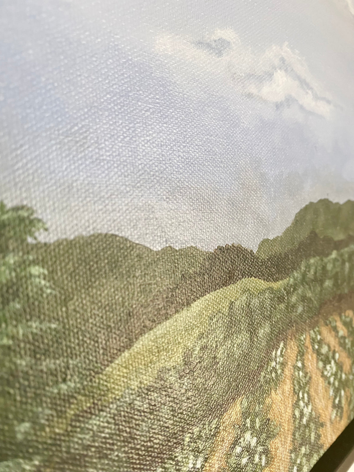 A close-up of a landscape painting or canvas print showing rolling green hills under a cloudy light gray sky, with textured brushstrokes and no visible frame or surrounding room context.