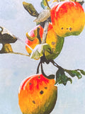 A close-up painted scene of several apples on a branch, with red, yellow, and green tones against a pale blue background.