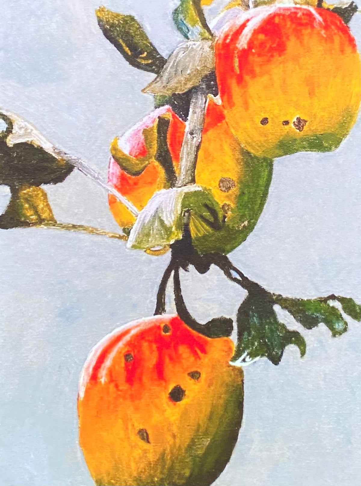 A close-up painted scene of several apples on a branch, with red, yellow, and green tones against a pale blue background.