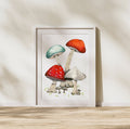 Cozy, aesthetic mushroom art print. Nature inspired.