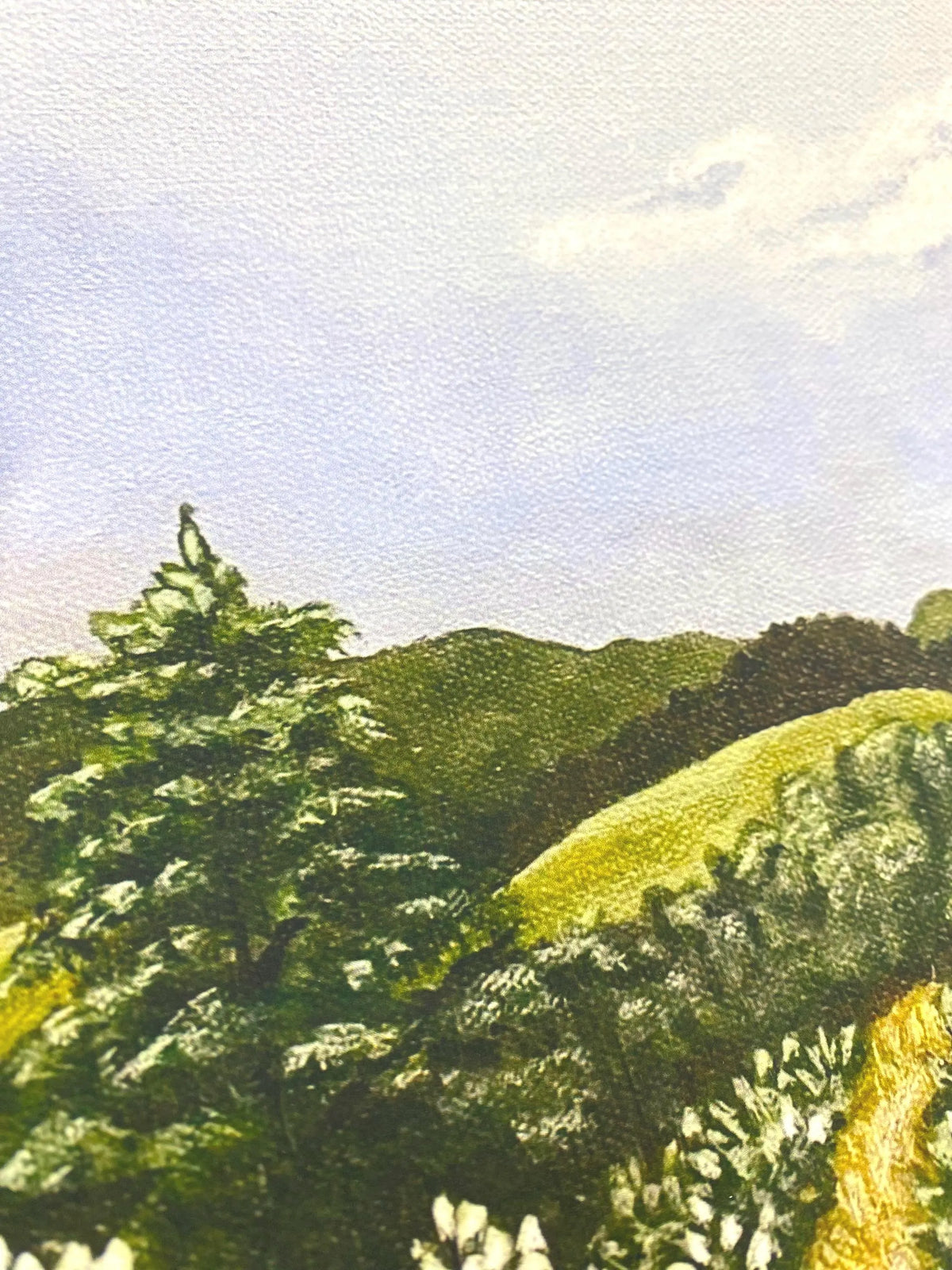 Spanish Landscape Art featuring a eucalyptus field with greenery and hills under a blue sky.